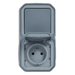 Prise et interrupteur Legrand Plexo gris en saillie