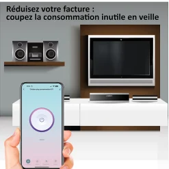 2 Prises encastrées 3000W Wifi + Suivi de consommation