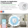 3 Prises intérieures 3680W connectées Wifi+ 3 Interrupteurs ON/OFF
