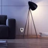 Prise variateur de lumière sans fil intérieure smartwares