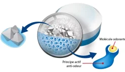 5 recharges neutre pour absorbeur d'humidité Aéro 360° Rubson 20m² + 1 recharge lavande