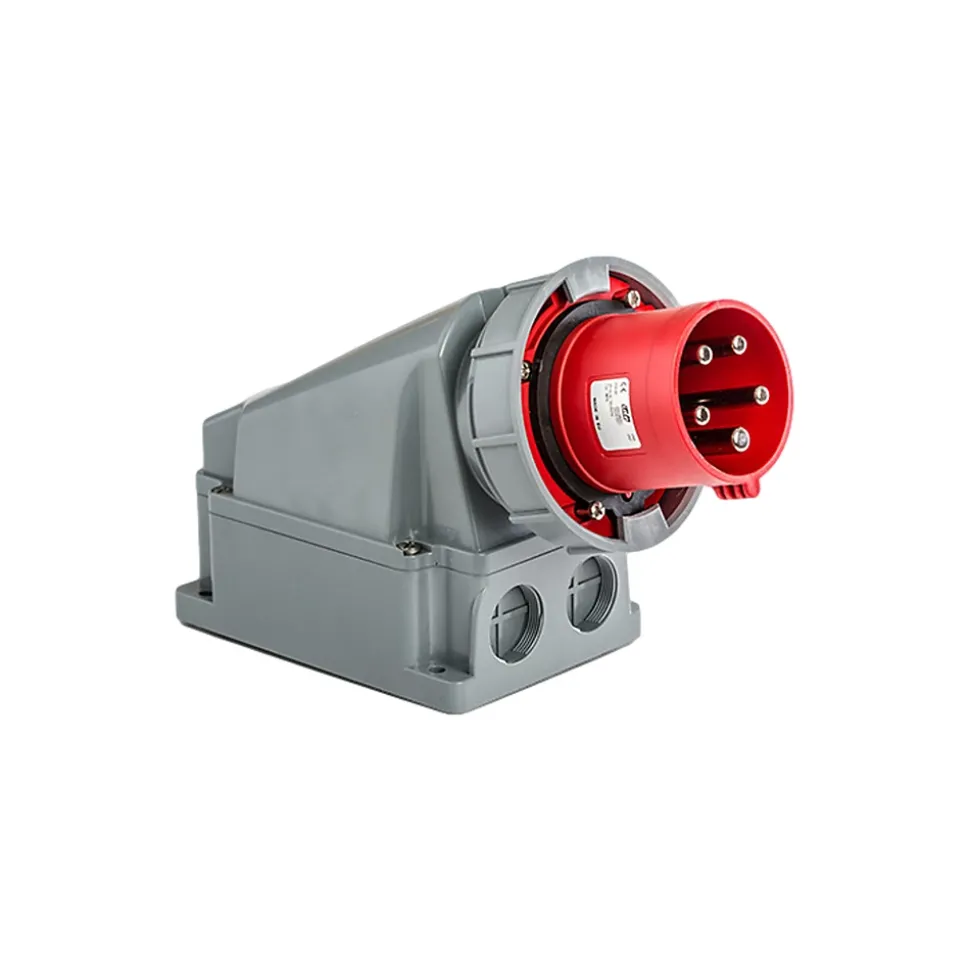 Socle Male 63a Tétrapolaire 380v - 3p+n+t - étanche Ip67 - Ide