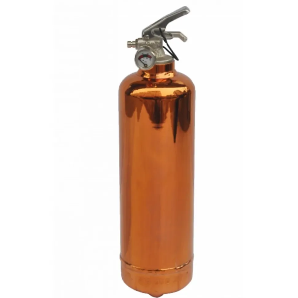 Système d’extinction d'incendie ABC 1 kg Lifebox avec manomètre cuivre