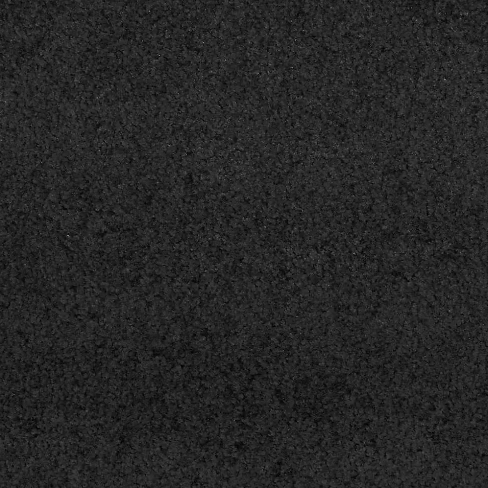 Tapis d'entrée Autre Noir 120 x 300 cm Polypropylène et vinyle vidaXL