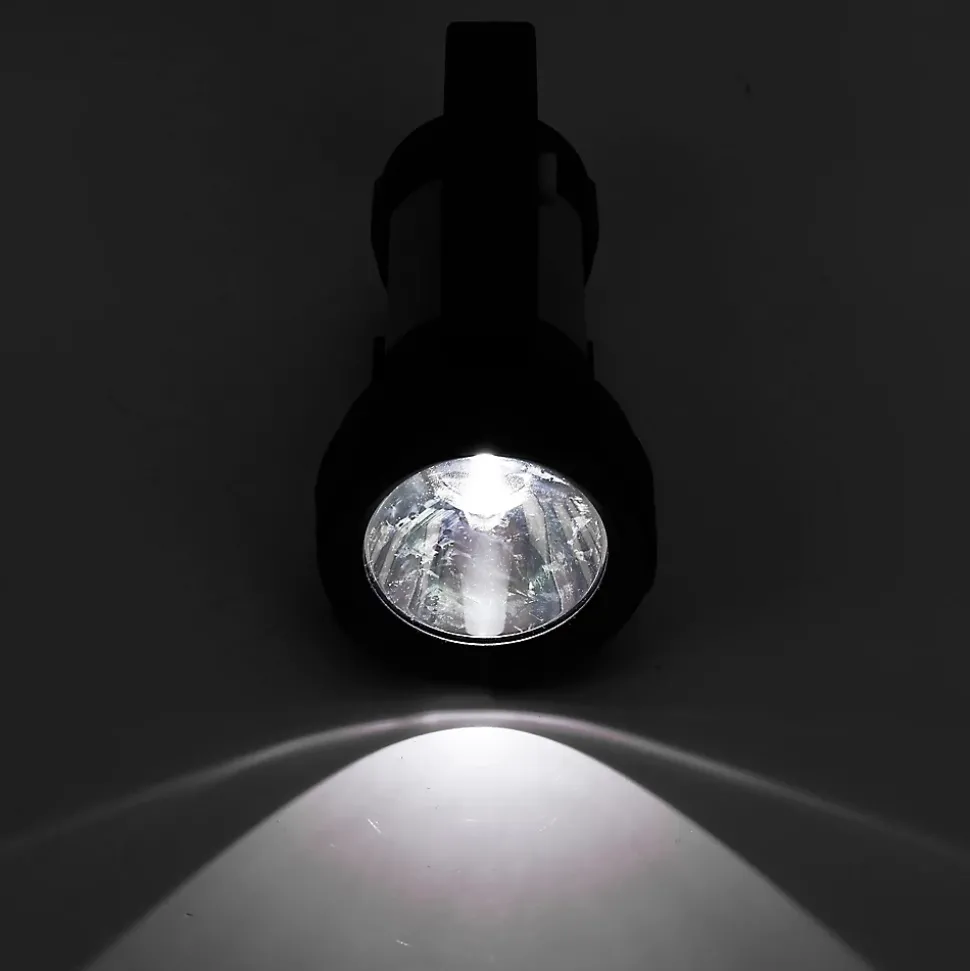 Torche rechargeable Diall 300 lumens