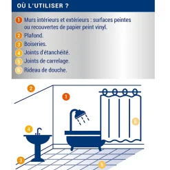 Traitement anti-moisissures intérieur extérieur Ripolin 0,5L