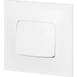Va-et-vient Legrand Neptune blanc brillant