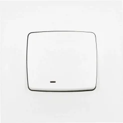 Va&vient lumineux Legrand Neptune 10A