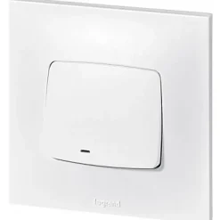 Va&vient lumineux Legrand Neptune 10A