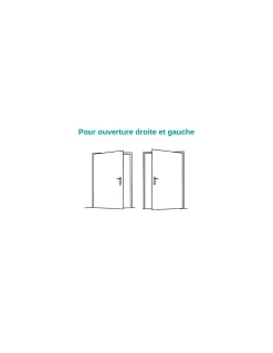 Verrou double entrée Transit 2 pour porte d'entrée, cylindre 40mm, 4 clés, époxy or - THIRARD