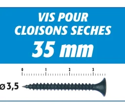 Vis Auto Perceuse 35 mm Semin - Fixation des Plaques de Plâtre sur l'Ossature - Intérieur - Boîte de 1000 Pièces (Lot de 2000)