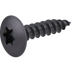 Vis de charnière zinguée noire 6x30 mm - 20 pièces