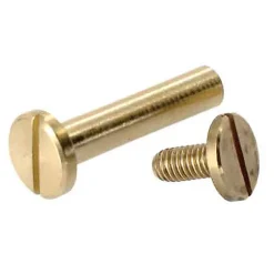 2 vis relieurs laiton Diall M4 Ø10 x L.10 mm